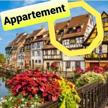 Apartment New ! Vue Petite Venise-place To Be Old Town - Parking Colmar