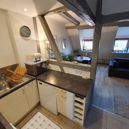 New ! Vue Petite Venise-place To Be Old Town - Parking * コルマール