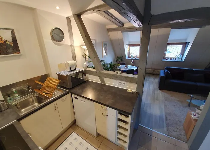 New ! Vue Petite Venise-place To Be Old Town - Parking * Colmar